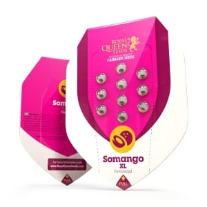 Somango XL (3) 100% Royal Queen Seeds
